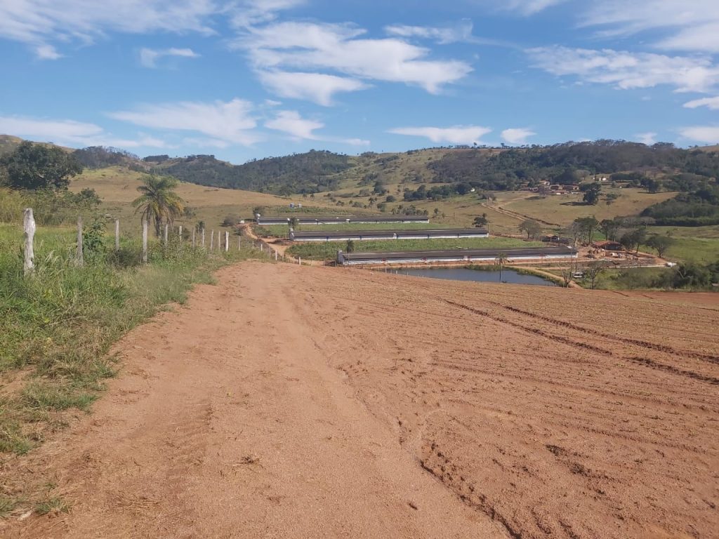 Fazenda em Casa Branca – SP