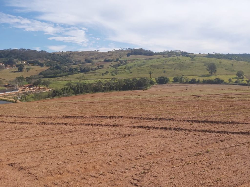 Fazenda em Casa Branca – SP