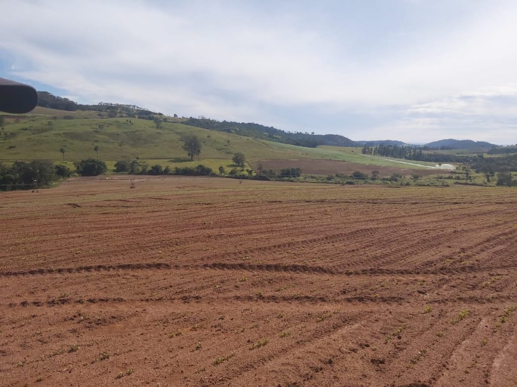 Fazenda em Casa Branca – SP