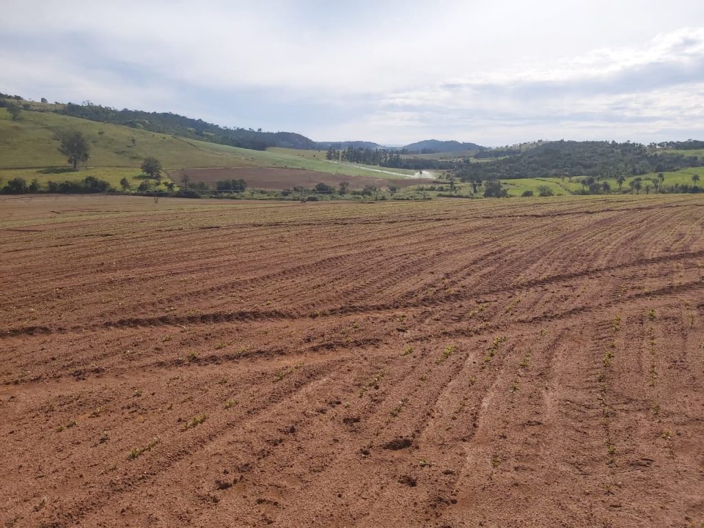 Fazenda em Casa Branca – SP