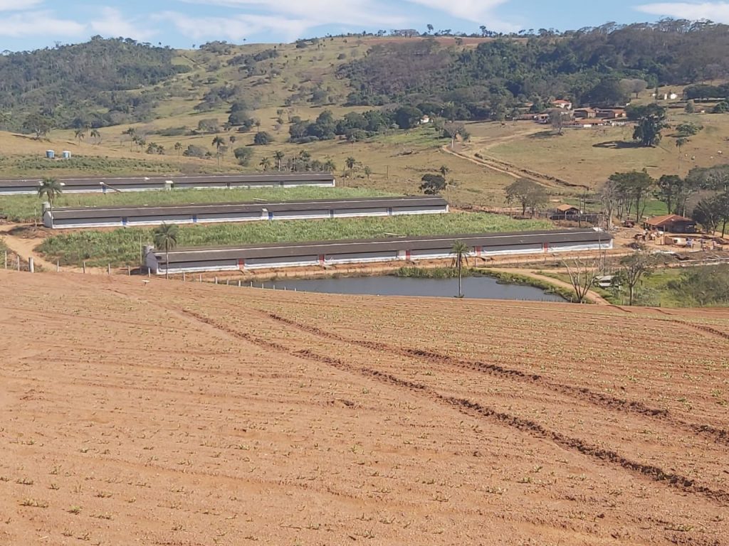Fazenda em Casa Branca – SP