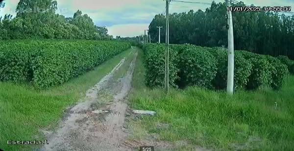 Sítio de 13 alqueires Ribeirão Preto/SP