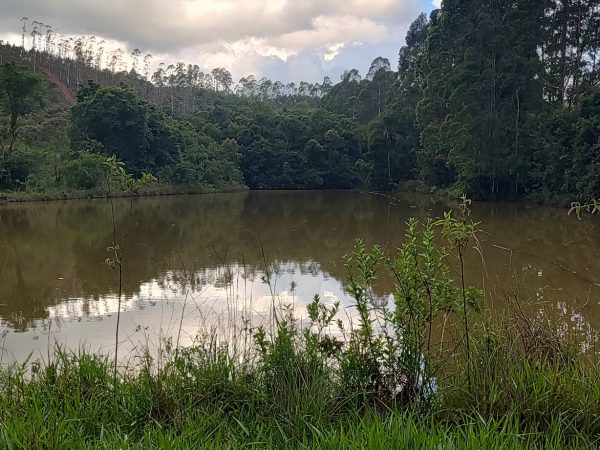 Fazenda 72 alqueires – Sul de Minas Gerais