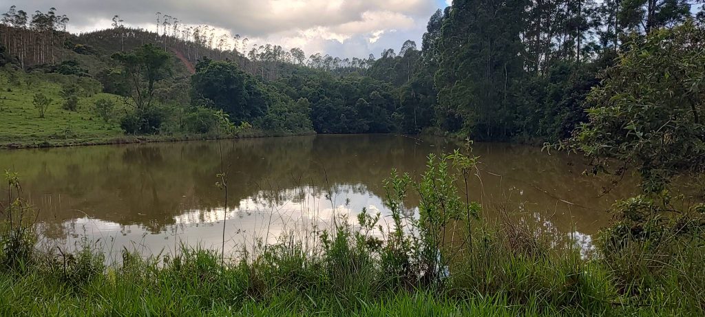 Fazenda 72 alqueires – Sul de Minas Gerais