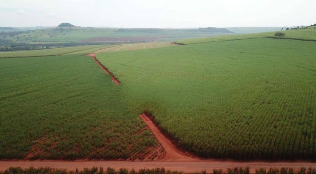 Fazenda 641 alqueires com cana – Ribeirão Preto/SP