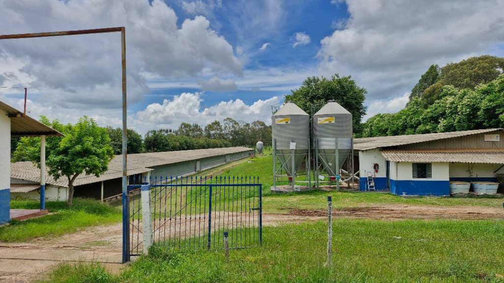 Sítio de 13 alqueires Ribeirão Preto/SP