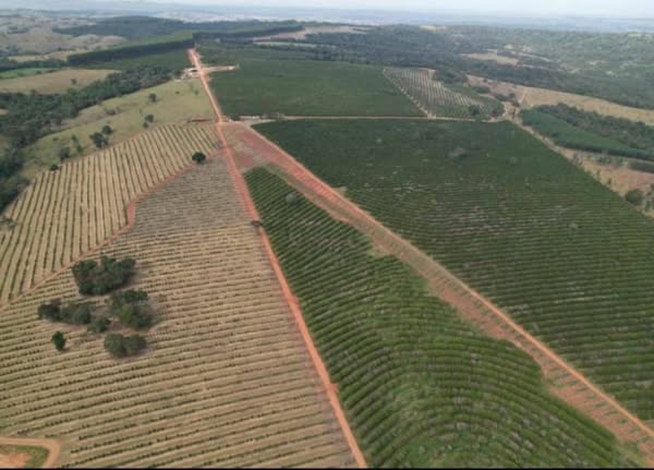 Fazenda de laranja região de Itapetininga SP 170 alqueires