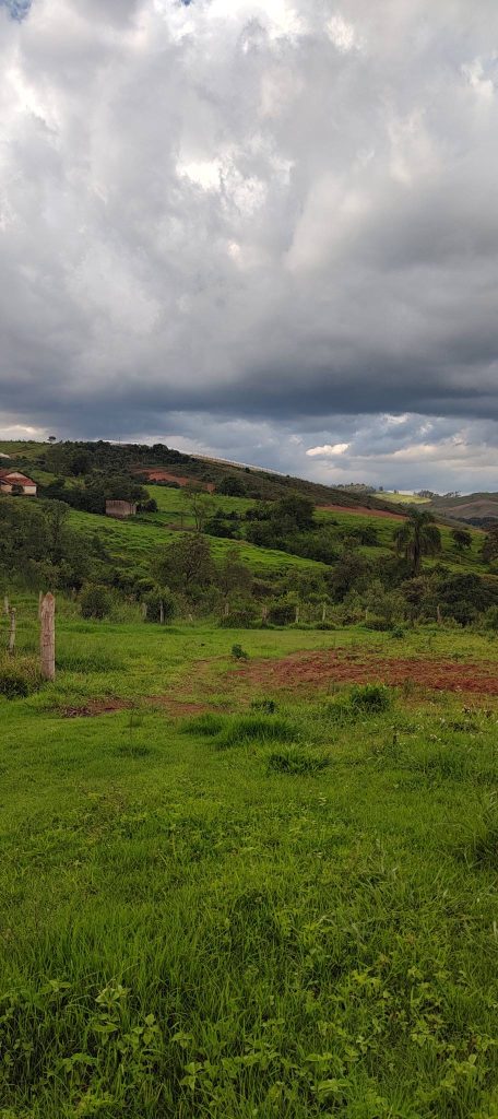 Fazenda 72 alqueires – Sul de Minas Gerais
