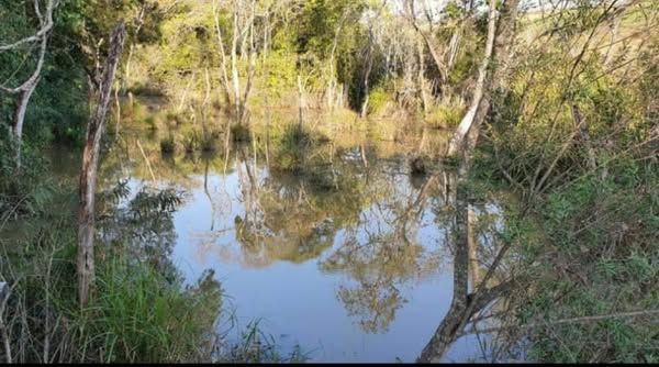 Fazenda de laranja região de Itapetininga SP 170 alqueires
