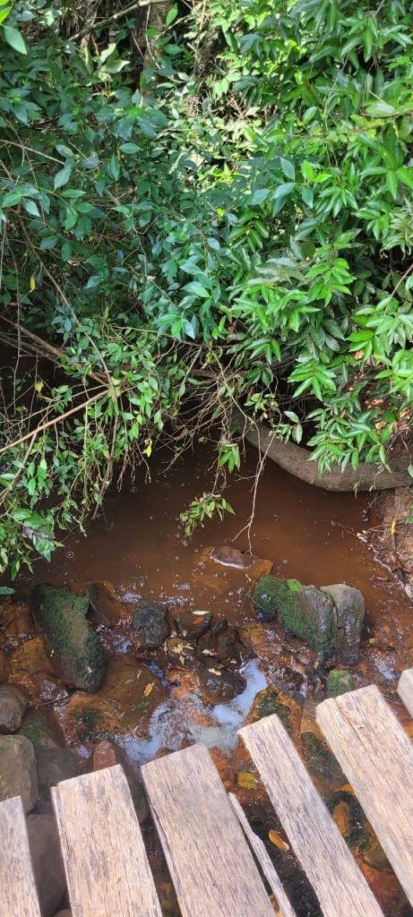 Sítio 56 alqueires – Região de Casa Branca/SP