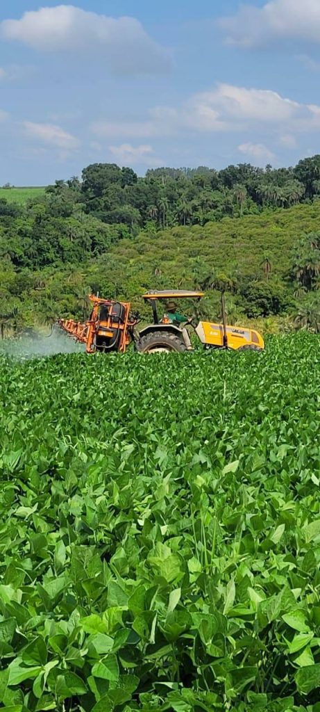 Sítio 56 alqueires – Região de Casa Branca/SP