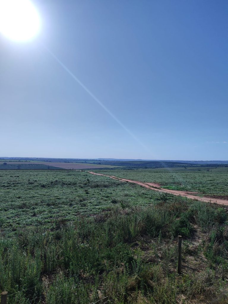 OPORTUNIDADE – 232 alqueires R$ 230.000,00 por alqueire, região de Mogi Guaçu