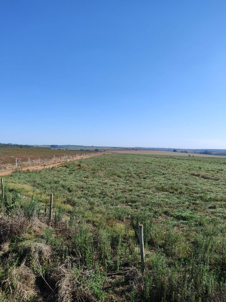 OPORTUNIDADE – 232 alqueires R$ 230.000,00 por alqueire, região de Mogi Guaçu