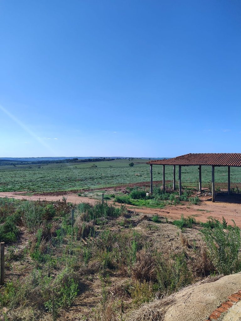 OPORTUNIDADE – 232 alqueires R$ 230.000,00 por alqueire, região de Mogi Guaçu