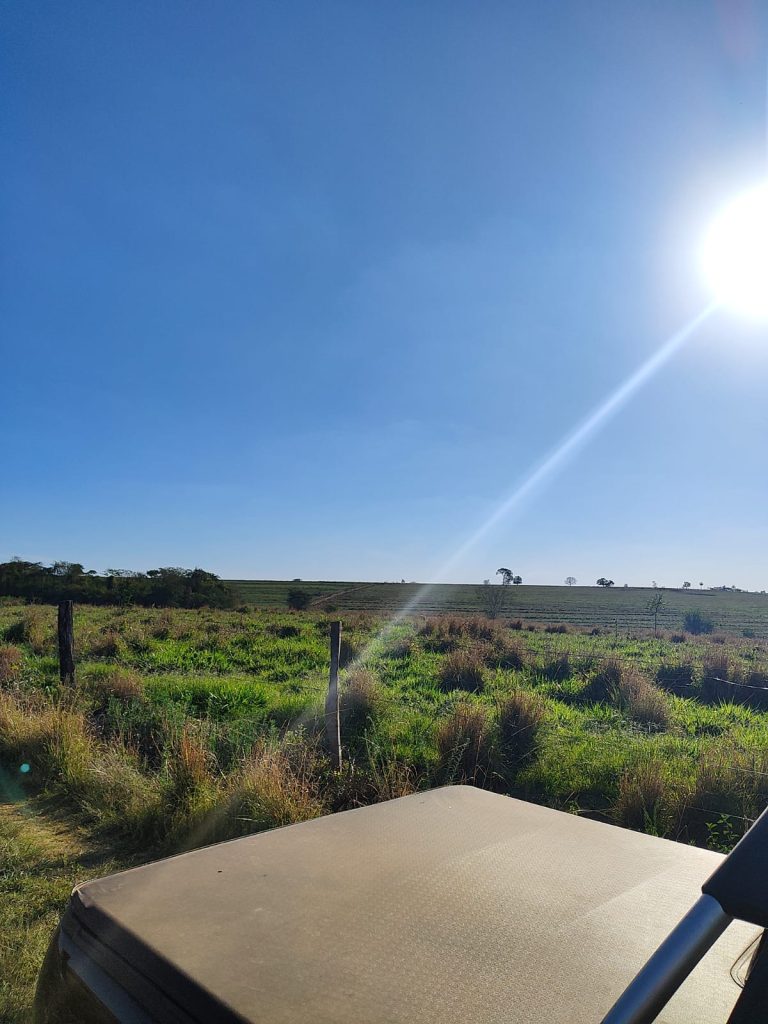 OPORTUNIDADE – 232 alqueires R$ 230.000,00 por alqueire, região de Mogi Guaçu