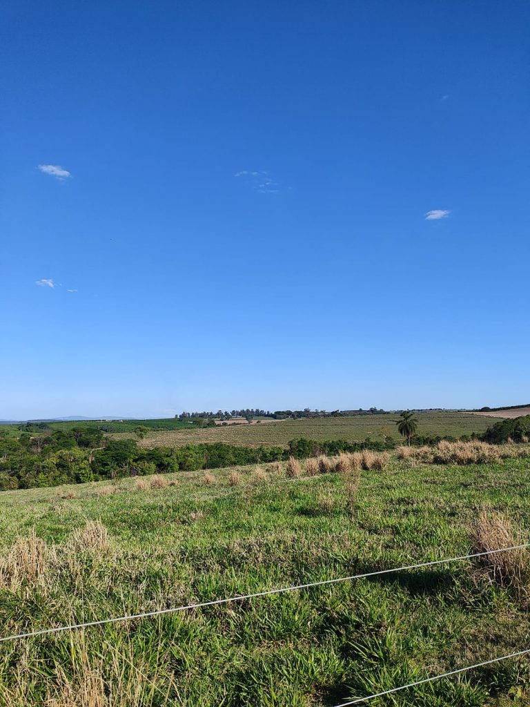 OPORTUNIDADE – 232 alqueires R$ 230.000,00 por alqueire, região de Mogi Guaçu