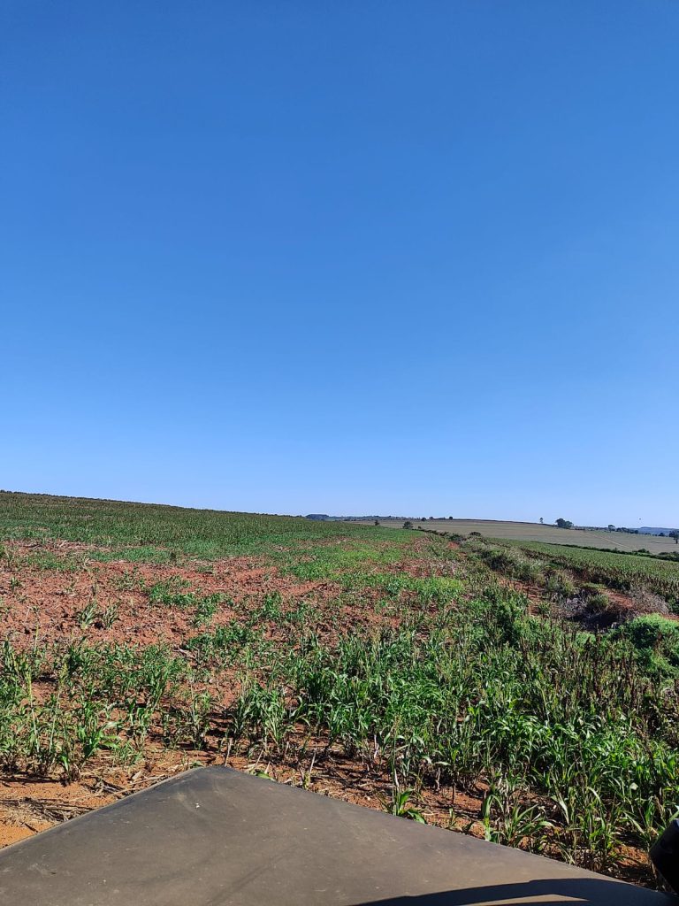 OPORTUNIDADE – 232 alqueires R$ 230.000,00 por alqueire, região de Mogi Guaçu