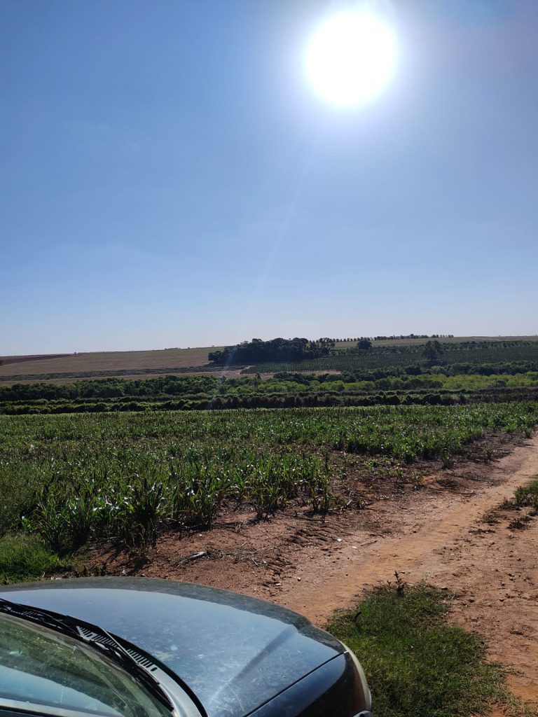 OPORTUNIDADE – 232 alqueires R$ 230.000,00 por alqueire, região de Mogi Guaçu